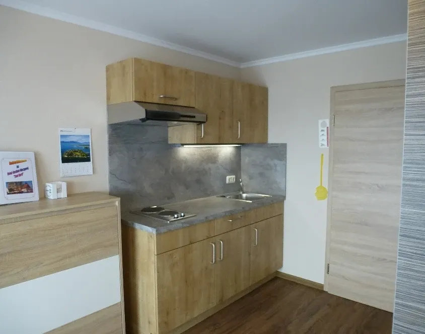 Kleine Apartment-Küchenzeile aus Holz mit Kochfeld, Spüle und Dunstabzug